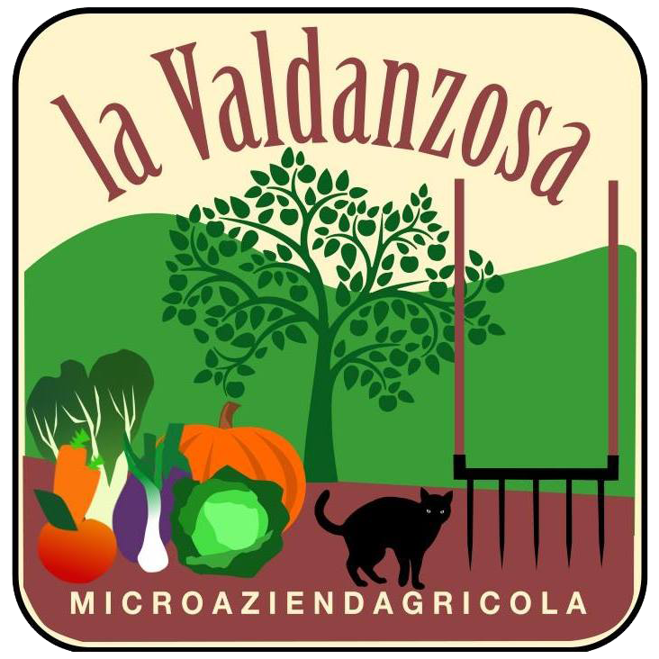 logo della valdanzosa